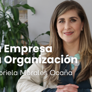 Tu Empresa, Tu organización